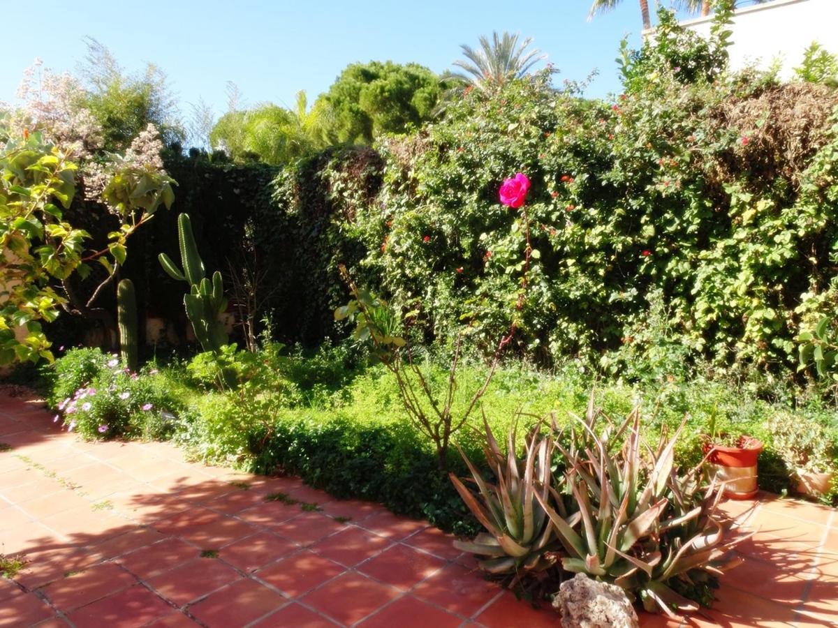 Villa Del Duque, Gandia - Playa de Gandia Ngoại thất bức ảnh