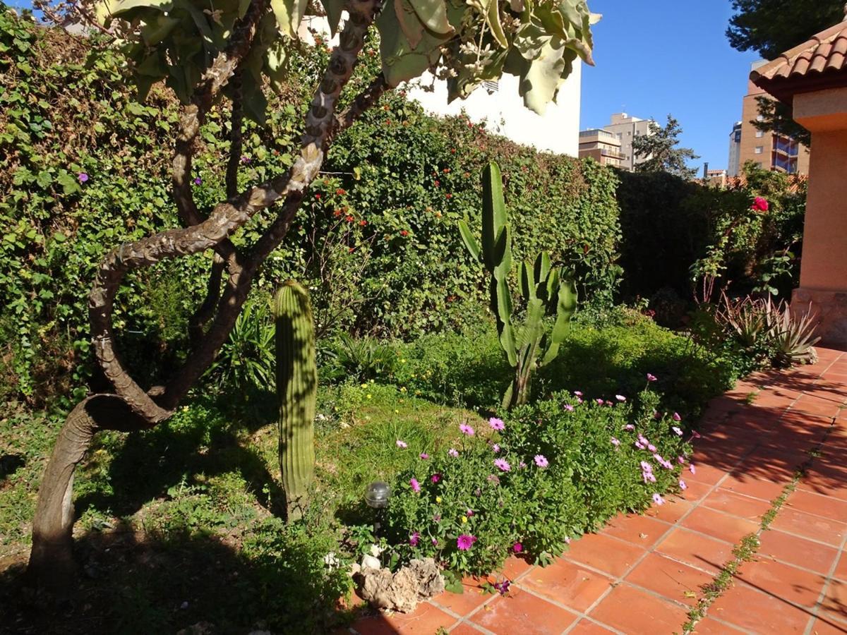 Villa Del Duque, Gandia - Playa de Gandia Ngoại thất bức ảnh